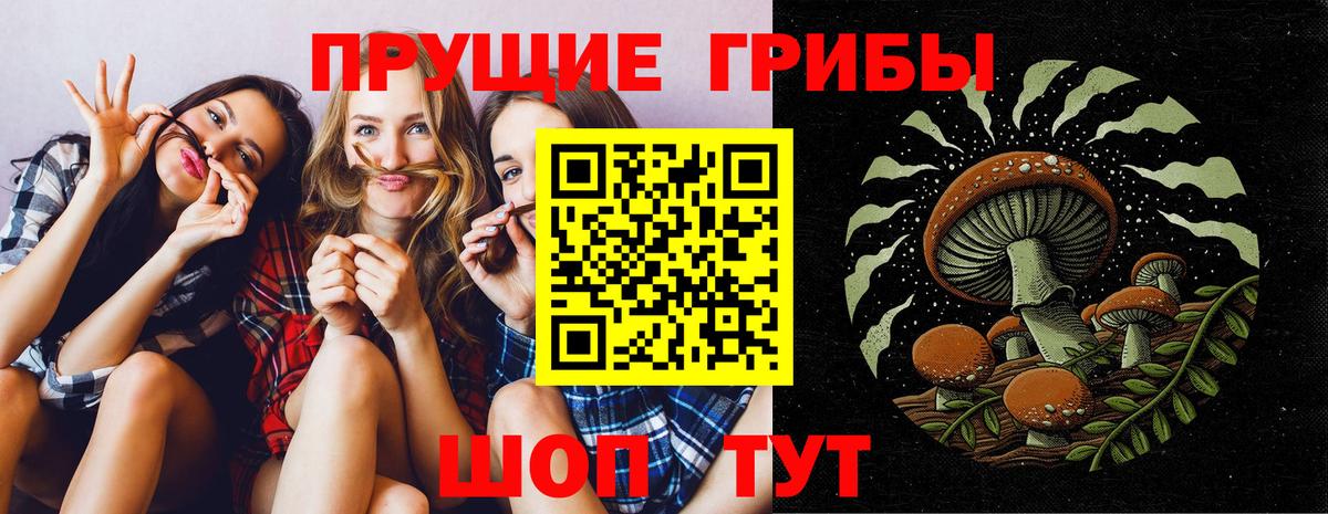 Галлюциногенные грибы Psilocybine cubensis  Вход с VPN  Похвистнево  Галлюциногенные грибы Psilocybe 