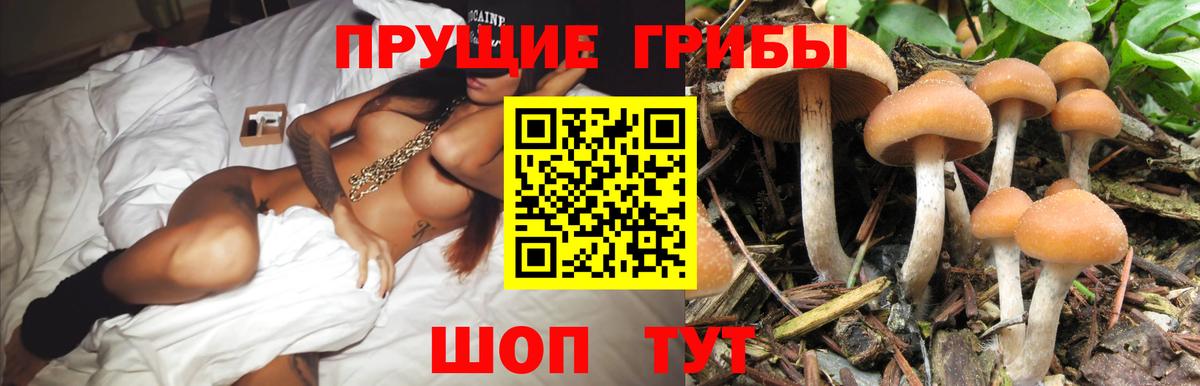 Галлюциногенные грибы прущие грибы Похвистнево
